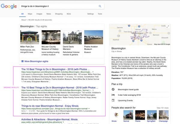 organic seo results